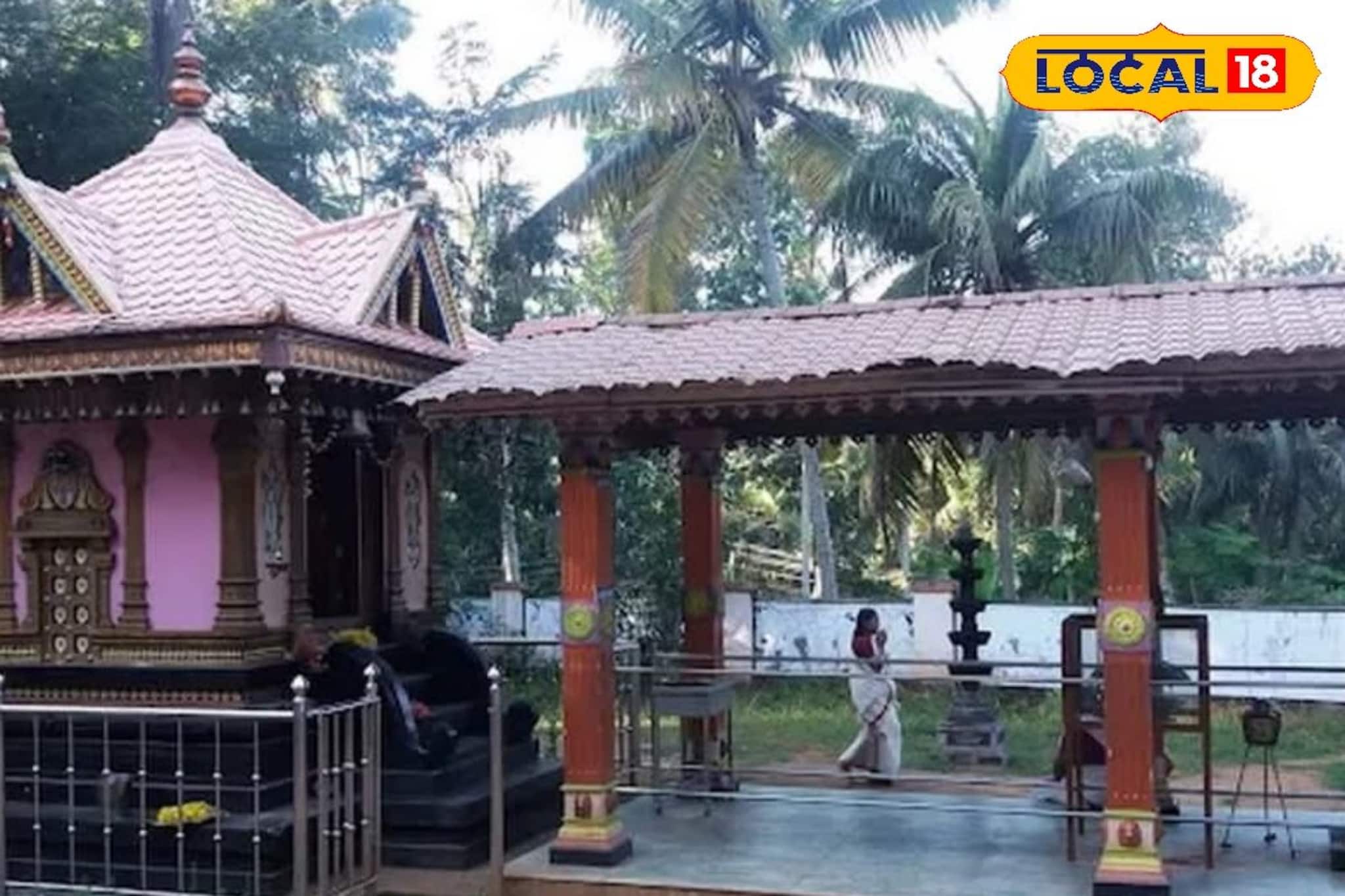 പുന്നക്കുളത്തെ പുണ്യതീർത്ഥം; ‘തെക്കൻ മണ്ണാറശാല’ എന്നറിയപ്പെടുന്ന തെക്കേക്കോണം നാഗർകാവ്