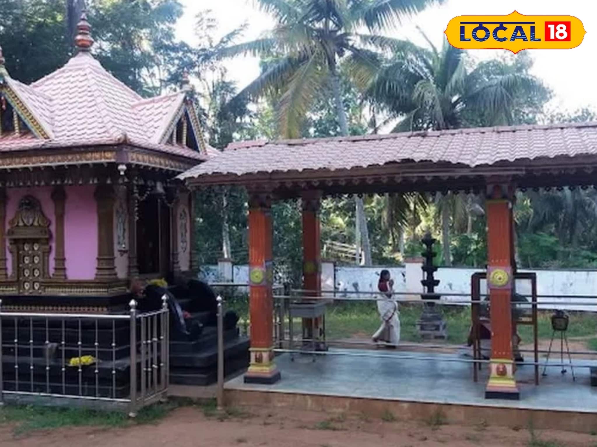 പുന്നക്കുളത്തെ പുണ്യതീർത്ഥം; ‘തെക്കൻ മണ്ണാറശാല’ എന്നറിയപ്പെടുന്ന തെക്കേക്കോണം നാഗർകാവ്