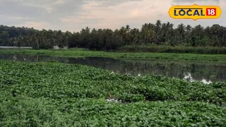 ആക്കുളം കായലിന്റെ ദൃശ്യം