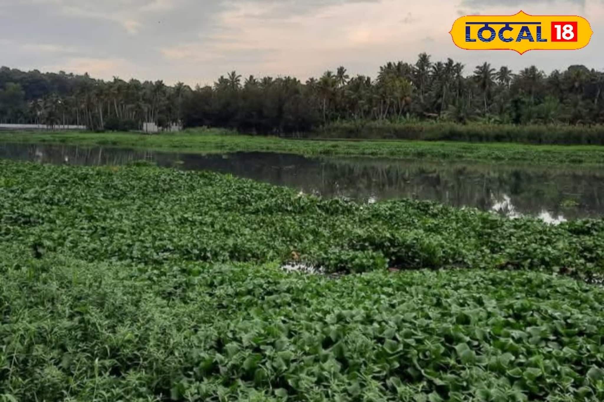 ബോട്ടിംഗും വിനോദങ്ങളും തിരികെയെത്തുന്നു; ആക്കുളം കായൽ നവീകരണത്തിലൂടെ ടൂറിസം മേഖലയിൽ വലിയ കുതിപ്പ് ബോട്ടിംഗും വിനോദങ്ങളും തിരികെയെത്തുന്നു; ആക്കുളം കായൽ നവീകരണത്തിലൂടെ ടൂറിസം മേഖലയിൽ വലിയ കുതിപ്പ്