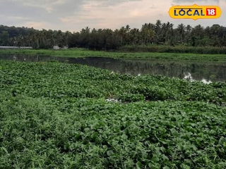 ആക്കുളം കായലിന്റെ ദൃശ്യം