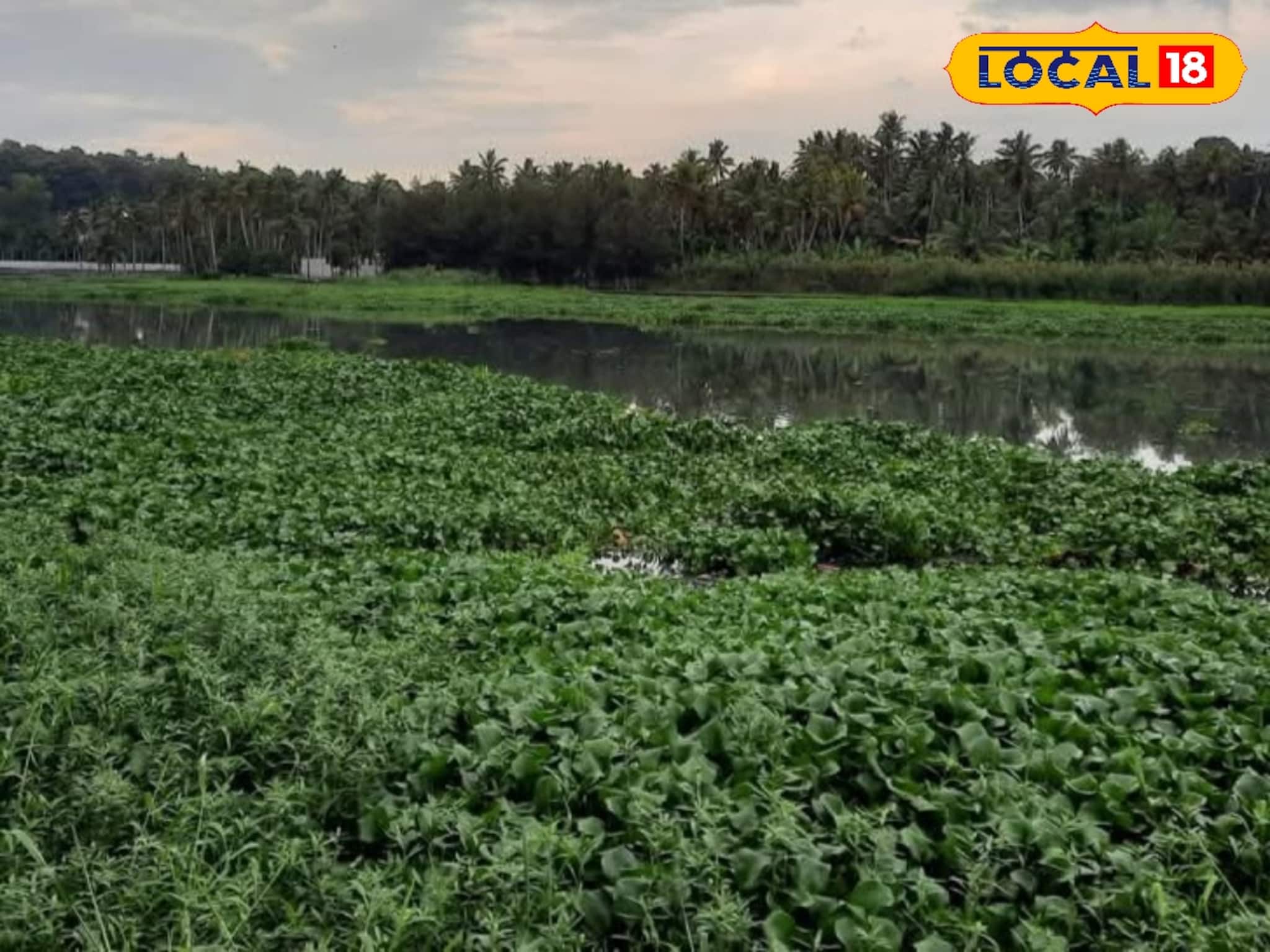 ബോട്ടിംഗും വിനോദങ്ങളും തിരികെയെത്തുന്നു; ആക്കുളം കായൽ നവീകരണത്തിലൂടെ ടൂറിസം മേഖലയിൽ വലിയ കുതിപ്പ് ബോട്ടിംഗും വിനോദങ്ങളും തിരികെയെത്തുന്നു; ആക്കുളം കായൽ നവീകരണത്തിലൂടെ ടൂറിസം മേഖലയിൽ വലിയ കുതിപ്പ്