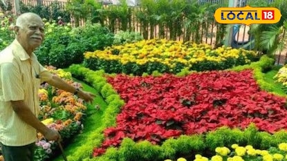 ഓർക്കിഡ് നമ്പ്യാരുടെ പൂന്തോട്ടം