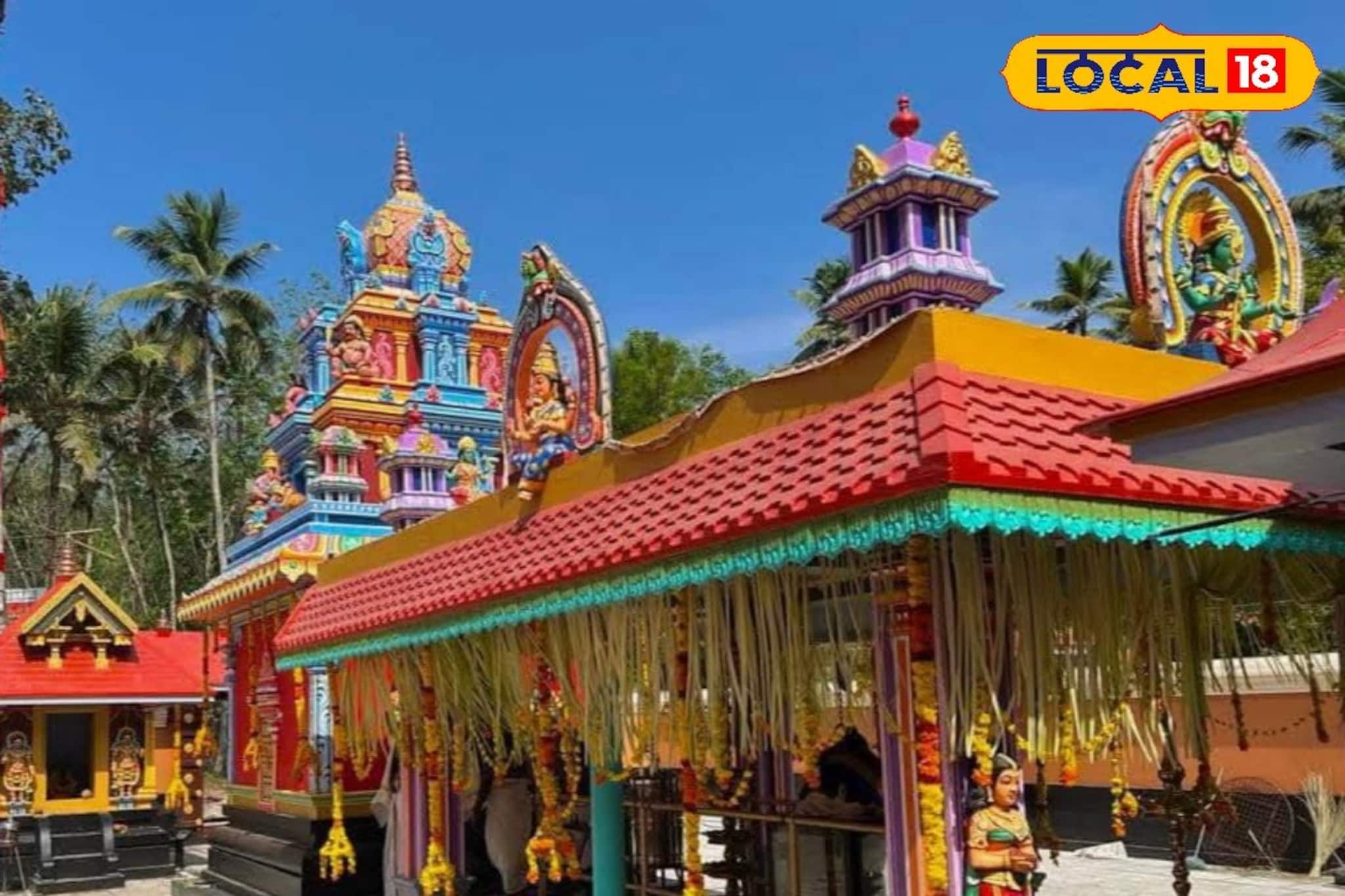 ഐശ്വര്യദായിനിയായ തിപ്പട്ടിയിലമ്മയുടെ സന്നിധിയിൽ ഉത്സവപ്പൊലിമ; പൊങ്കാലയും കുത്തിയോട്ടവും പ്രധാന ചടങ്ങുകൾ