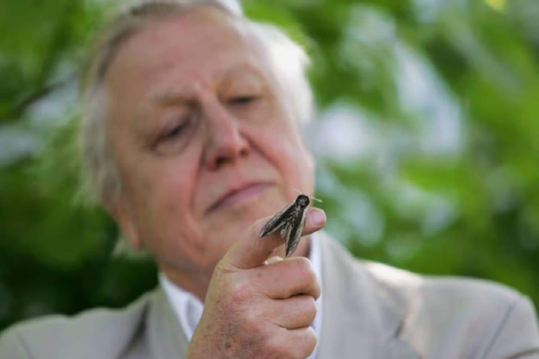 'ഗാന്ധി' സംവിധായകൻ്റെ പൂന്തോട്ടത്തിൽ മനുഷ്യന്റെ തലയോട്ടി; ചുരുളഴിഞ്ഞത് 131 വര്ഷം മുമ്പുള്ള കൊലപാതകം 'ഗാന്ധി' സംവിധായകൻ്റെ പൂന്തോട്ടത്തിൽ മനുഷ്യന്റെ തലയോട്ടി; ചുരുളഴിഞ്ഞത് 131 വര്ഷം മുമ്പുള്ള കൊലപാതകം