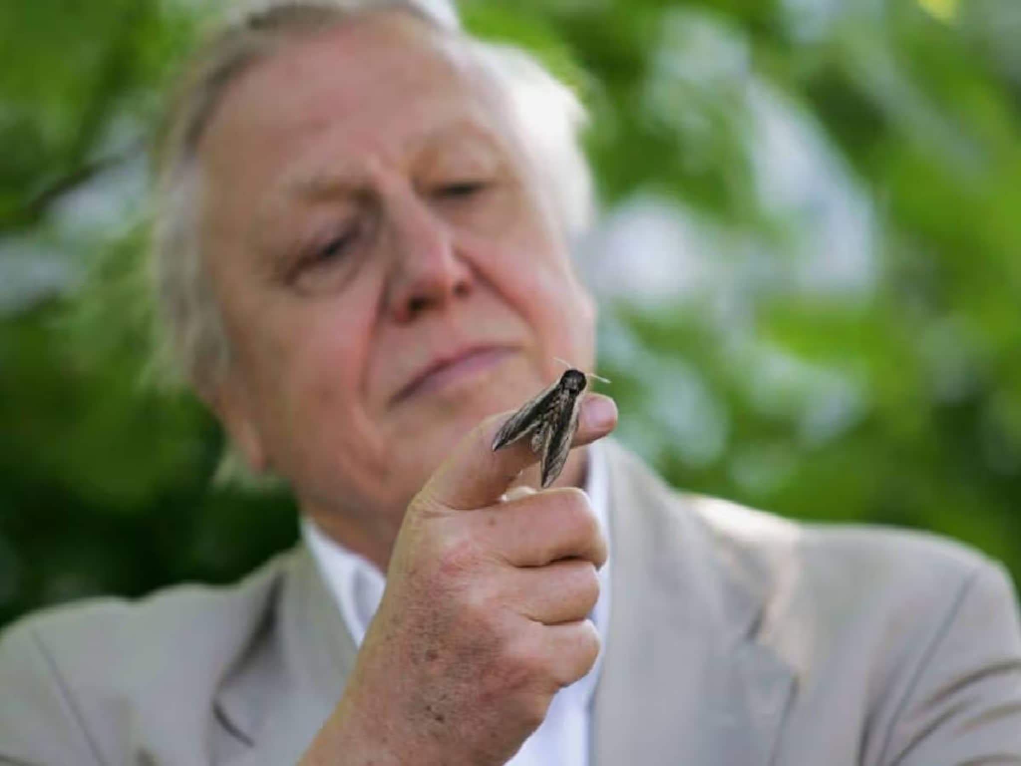 'ഗാന്ധി' സംവിധായകൻ്റെ പൂന്തോട്ടത്തിൽ മനുഷ്യന്റെ തലയോട്ടി; ചുരുളഴിഞ്ഞത് 131 വര്ഷം മുമ്പുള്ള കൊലപാതകം 'ഗാന്ധി' സംവിധായകൻ്റെ പൂന്തോട്ടത്തിൽ മനുഷ്യന്റെ തലയോട്ടി; ചുരുളഴിഞ്ഞത് 131 വര്ഷം മുമ്പുള്ള കൊലപാതകം