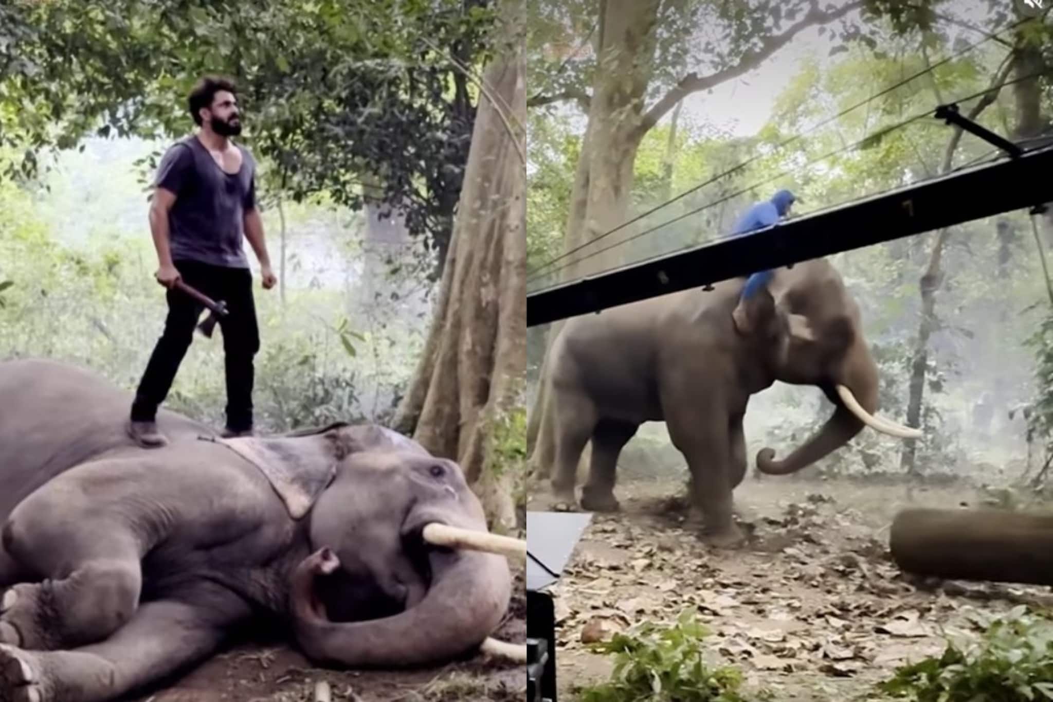 വിഎഫ്എക്സ് അല്ല; ആനയ്‌ക്കൊപ്പമുള്ള യഥാർത്ഥ സംഘട്ടന രംഗങ്ങളുമായി 'കാട്ടാളൻ' ടീസറിൻ്റെ ബിടിഎസ് വീഡിയോ