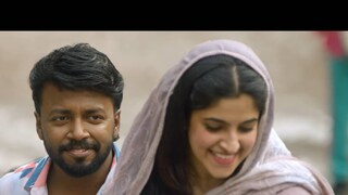 'മാജിക് മഷ്റൂംസ്' 