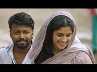 'മാജിക് മഷ്റൂംസ്' 'മാജിക് മഷ്റൂംസ്'