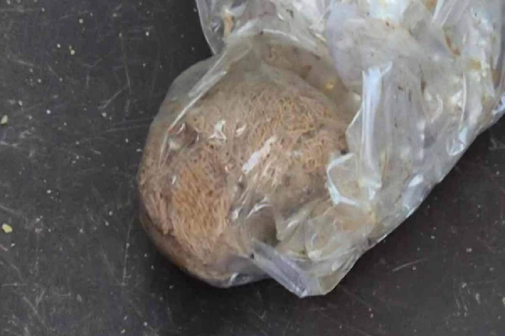 വയനാട്ടിൽ പ്രസവം കഴിഞ്ഞ് 75 ദിവസം 21 കാരിയുടെ വയറ്റില് നിന്നും തുണി പുറത്തേക്ക്; ചികിത്സാപ്പിഴവെന്ന് കുടുംബം വയനാട്ടിൽ പ്രസവം കഴിഞ്ഞ് 75 ദിവസം 21 കാരിയുടെ വയറ്റില് നിന്നും തുണി പുറത്തേക്ക്; ചികിത്സാപ്പിഴവെന്ന് കുടുംബം