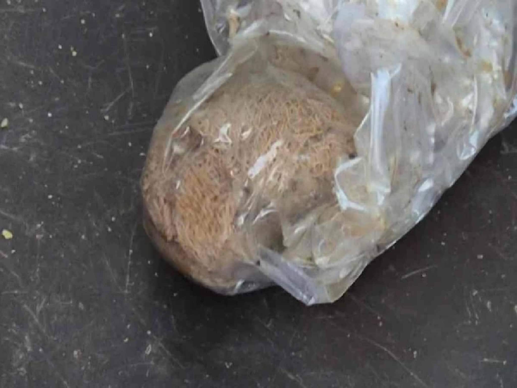 വയനാട്ടിൽ പ്രസവം കഴിഞ്ഞ് 75 ദിവസം 21 കാരിയുടെ വയറ്റില് നിന്നും തുണി പുറത്തേക്ക്; ചികിത്സാപ്പിഴവെന്ന് കുടുംബം വയനാട്ടിൽ പ്രസവം കഴിഞ്ഞ് 75 ദിവസം 21 കാരിയുടെ വയറ്റില് നിന്നും തുണി പുറത്തേക്ക്; ചികിത്സാപ്പിഴവെന്ന് കുടുംബം