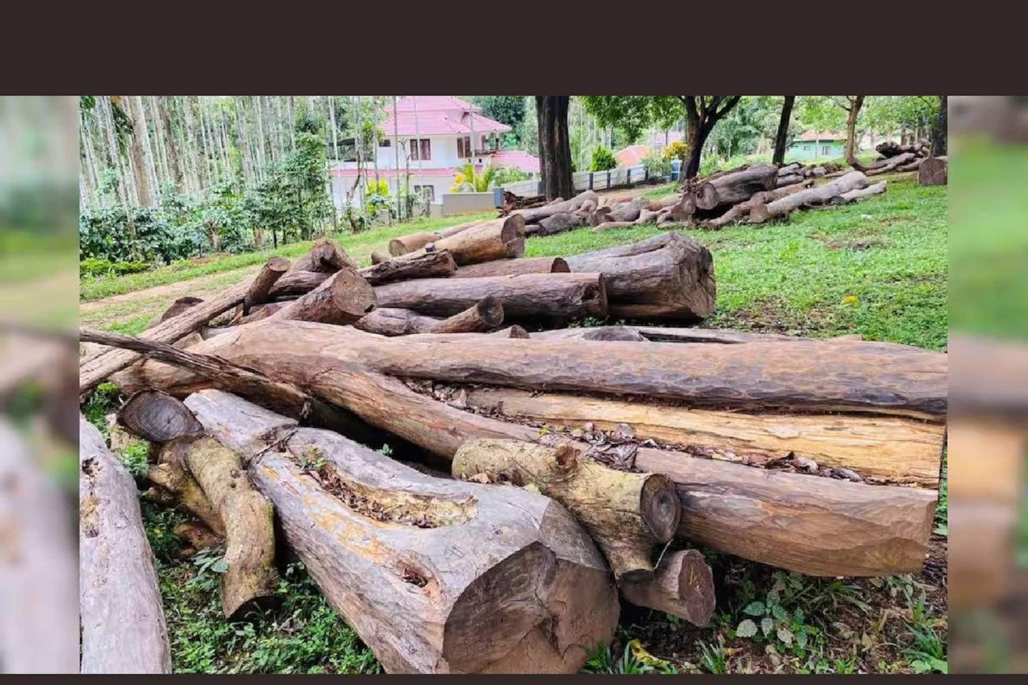 മുട്ടില്‍ മരംമുറി കേസില്‍ പ്രതികളുടെ അപ്പീല്‍ തള്ളി