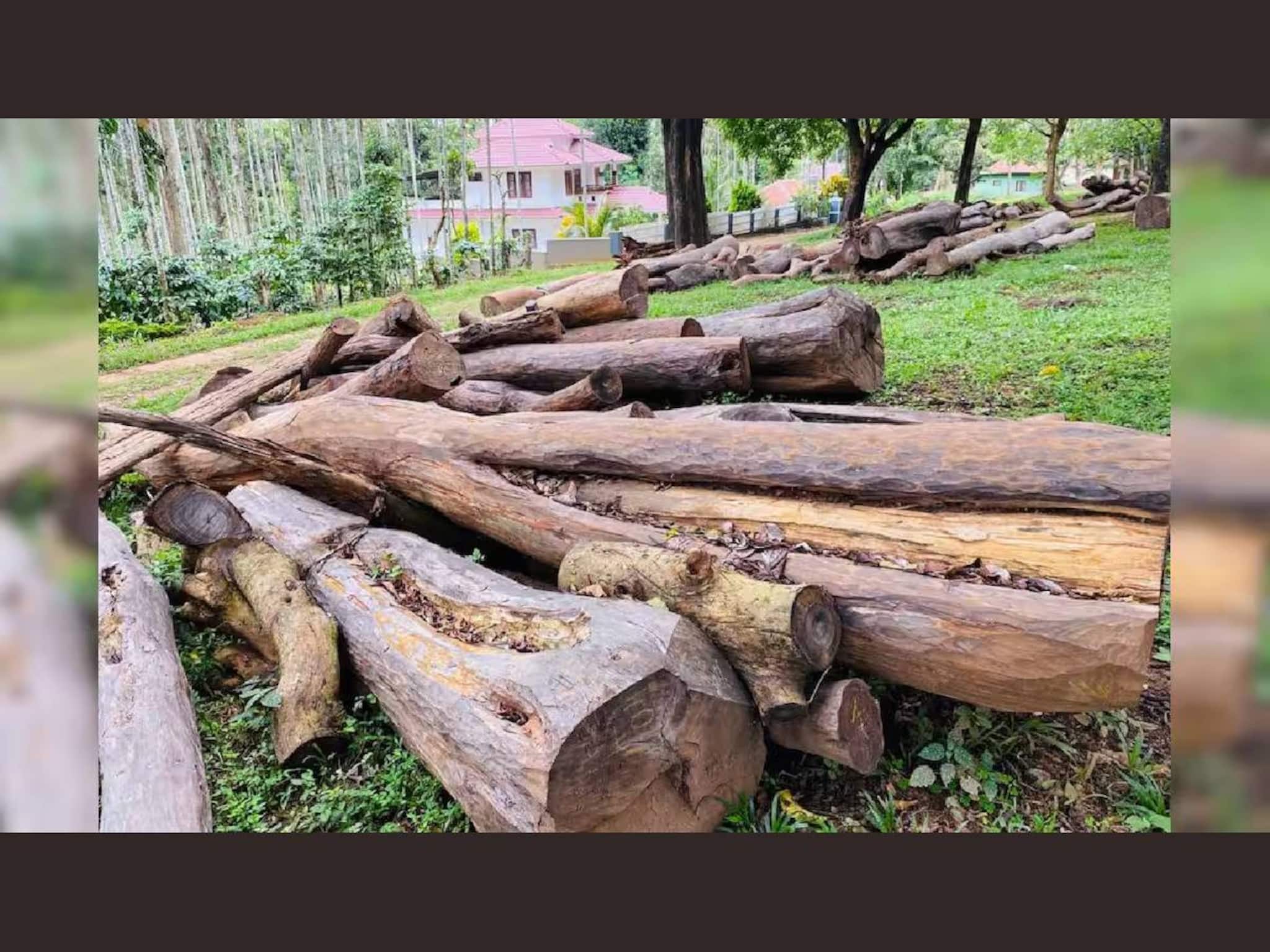 മുട്ടില്‍ മരംമുറി കേസില്‍ പ്രതികളുടെ അപ്പീല്‍ തള്ളി