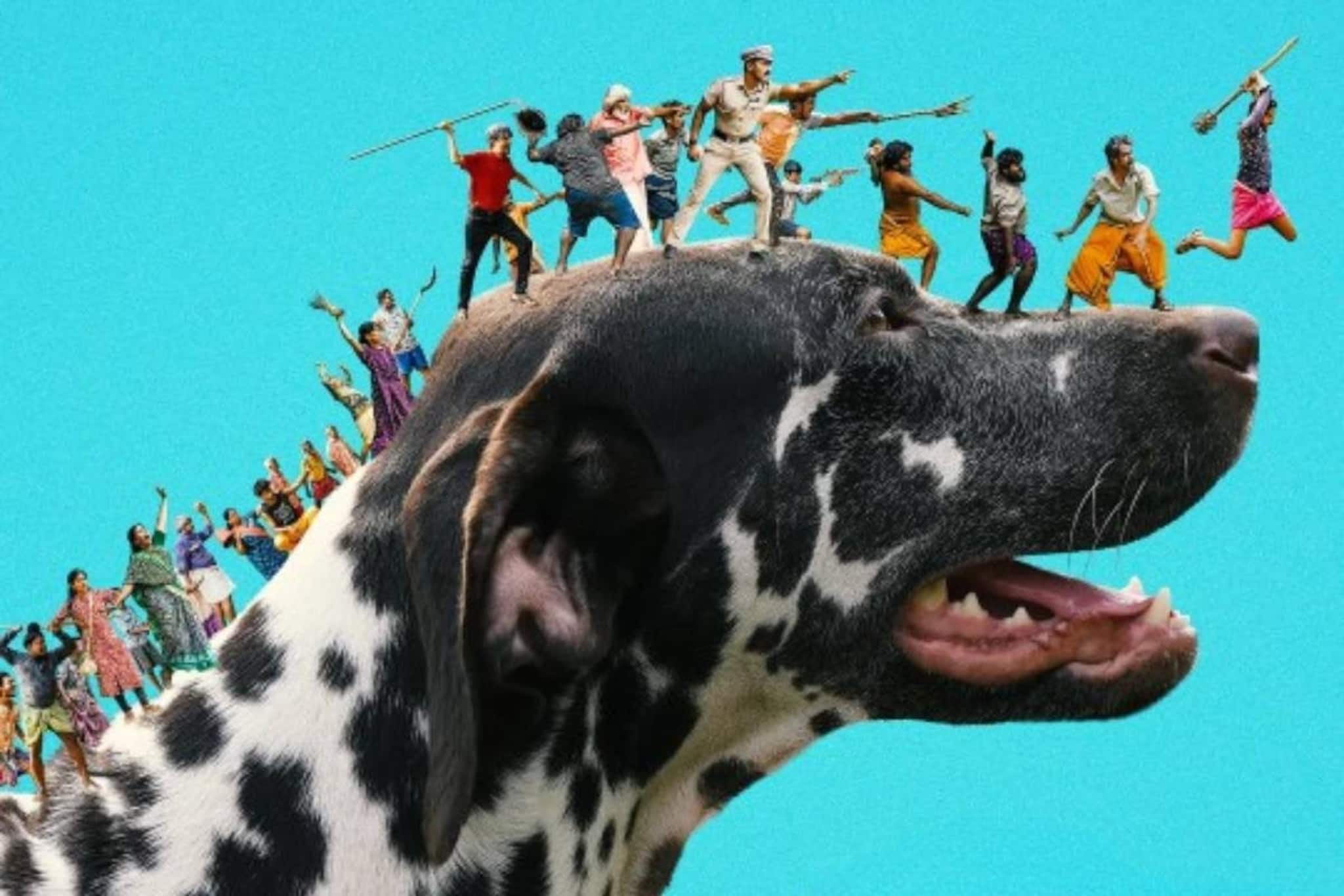 രാജേഷ് മാധവൻ ചിത്രം 'പെണ്ണും പൊറാട്ടും' ഫെബ്രുവരിയിൽ തിയേറ്ററുകളിലേക്ക്; റിലീസ് തീയതി