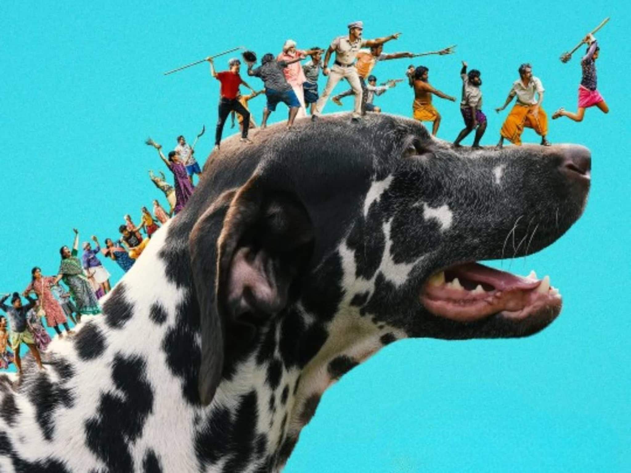 രാജേഷ് മാധവൻ ചിത്രം 'പെണ്ണും പൊറാട്ടും' ഫെബ്രുവരിയിൽ തിയേറ്ററുകളിലേക്ക്; റിലീസ് തീയതി