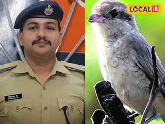 മംഗോളിയയിൽ നിന്ന് കാട്ടാമ്പള്ളിയിലേക്ക് ഒരു അപൂർവ്വ അതിഥി; ചുവപ്പ് വാലൻ ഷ്രൈകിനെ കണ്ടെത്തി കമ്മീഷണർ മംഗോളിയയിൽ നിന്ന് കാട്ടാമ്പള്ളിയിലേക്ക് ഒരു അപൂർവ്വ അതിഥി; ചുവപ്പ് വാലൻ ഷ്രൈകിനെ കണ്ടെത്തി കമ്മീഷണർ