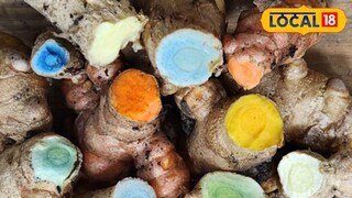 മഞ്ഞൾ ഇനങ്ങൾ