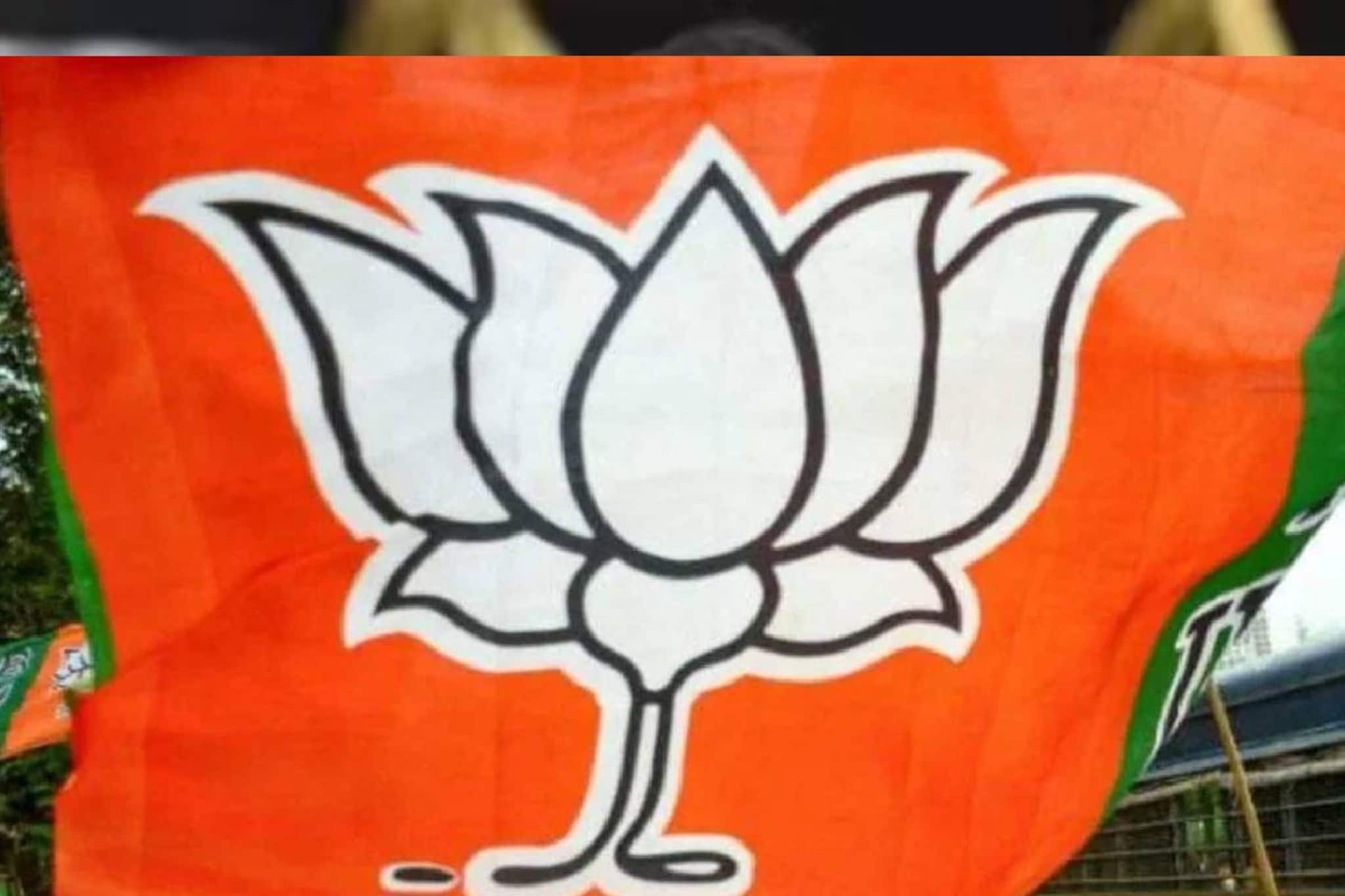 പാലക്കാട് തദ്ദേശ തിരഞ്ഞെടുപ്പിൽ പഞ്ചായത്ത് ഘടകത്തിന്റെ പരാതി; 2 ബിജെപി പ്രാദേശിക നേതാക്കൾക്കെതിരെ നടപടി