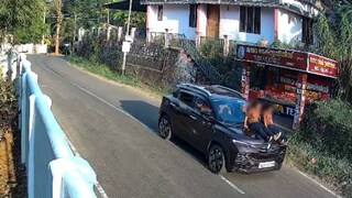 സിസിടിവി ദൃശ്യത്തിൽ നിന്ന് 