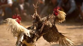 (പ്രതീകാത്മക ചിത്രം)