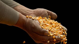 പ്രതീകാത്മക ചിത്രം