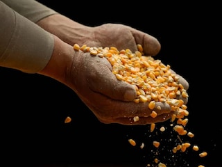 പ്രതീകാത്മക ചിത്രം