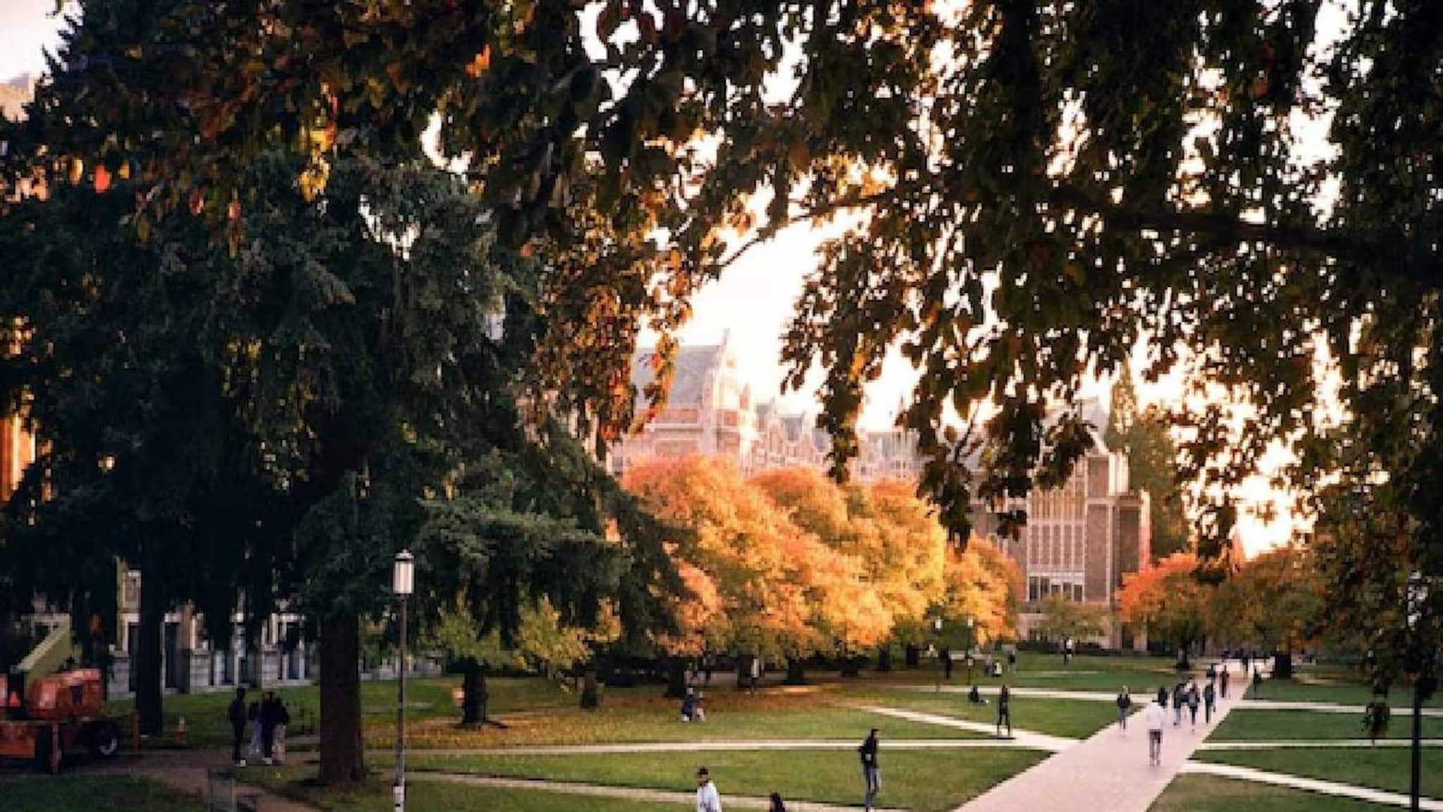 ഇസ്‌ലാമിക തീവ്രവാദത്തിനെതിരെ കടുത്ത നിലപാടുമായി യുഎഇ; ബ്രിട്ടീഷ് സർവകലാശാലകളിലെ സ്കോളർഷിപ്പ് നിർത്തലാക്കി