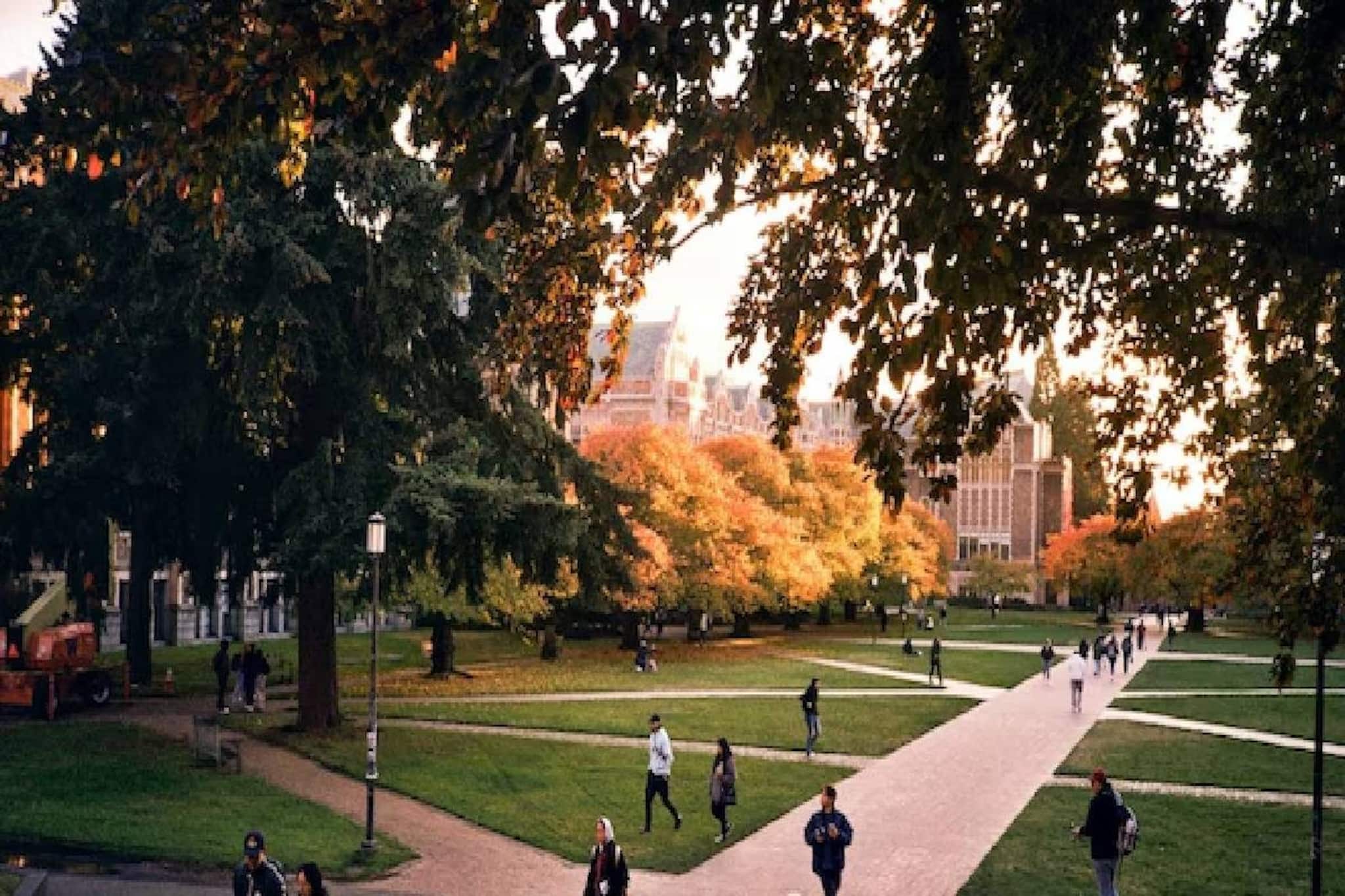 ഇസ്‌ലാമിക തീവ്രവാദത്തിനെതിരെ കടുത്ത നിലപാടുമായി യുഎഇ; ബ്രിട്ടീഷ് സർവകലാശാലകളിലെ സ്കോളർഷിപ്പ് നിർത്തലാക്കി