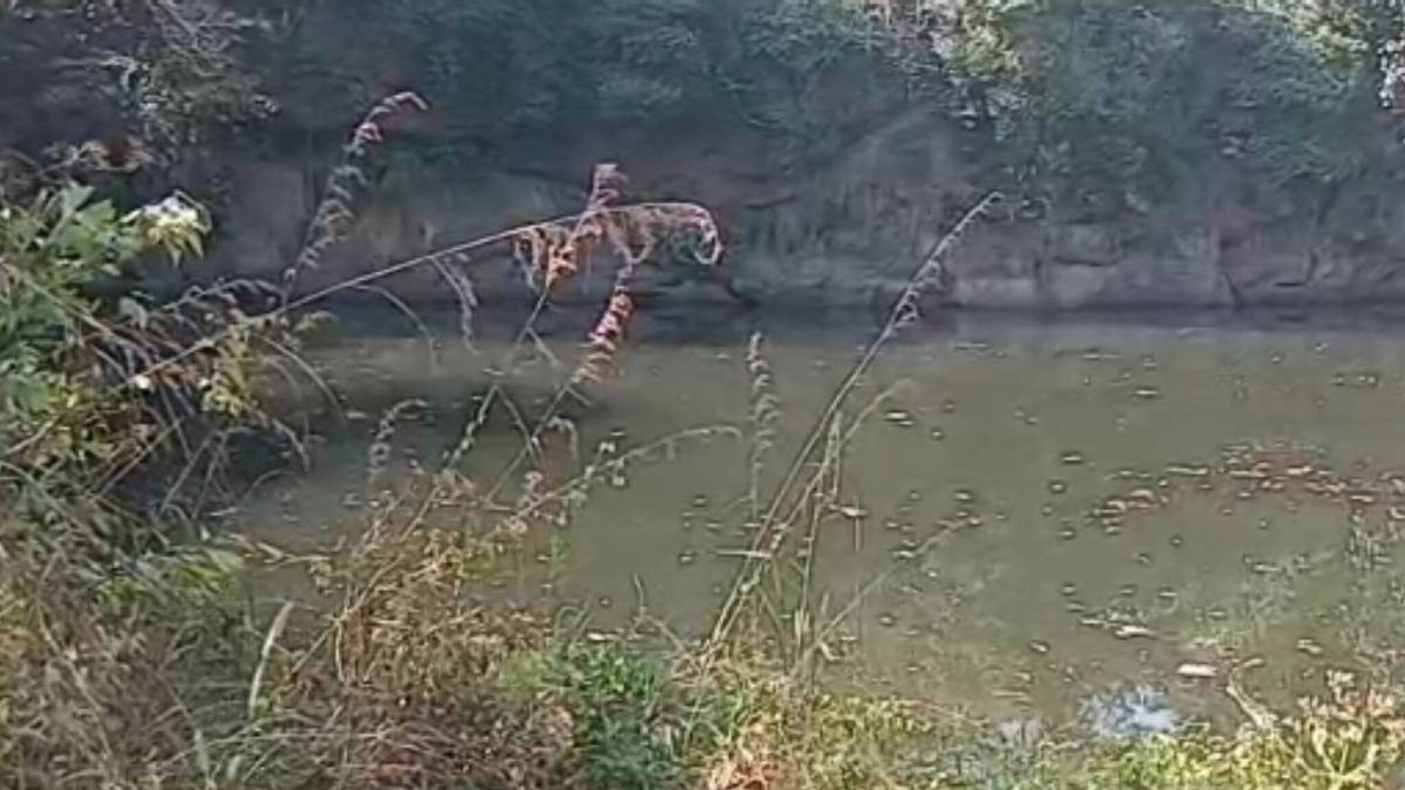 പ്ലസ് വൺ വിദ്യാർത്ഥിനിയെ പാറക്കുളത്തിൽ മരിച്ചനിലയിൽ കണ്ടേത്തിയ സംഭവം; കൊറിയൻ ആൺസുഹൃത്തിന്റെ മരണത്തിൽ മനംനൊന്തെന്ന് കത്ത്