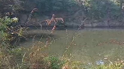 പ്ലസ് വൺ വിദ്യാർത്ഥിനിയെ മരിച്ച നിലയിൽ കണ്ടെത്തിയ പാറക്കുളം പ്ലസ് വൺ വിദ്യാർത്ഥിനിയെ മരിച്ച നിലയിൽ കണ്ടെത്തിയ പാറക്കുളം