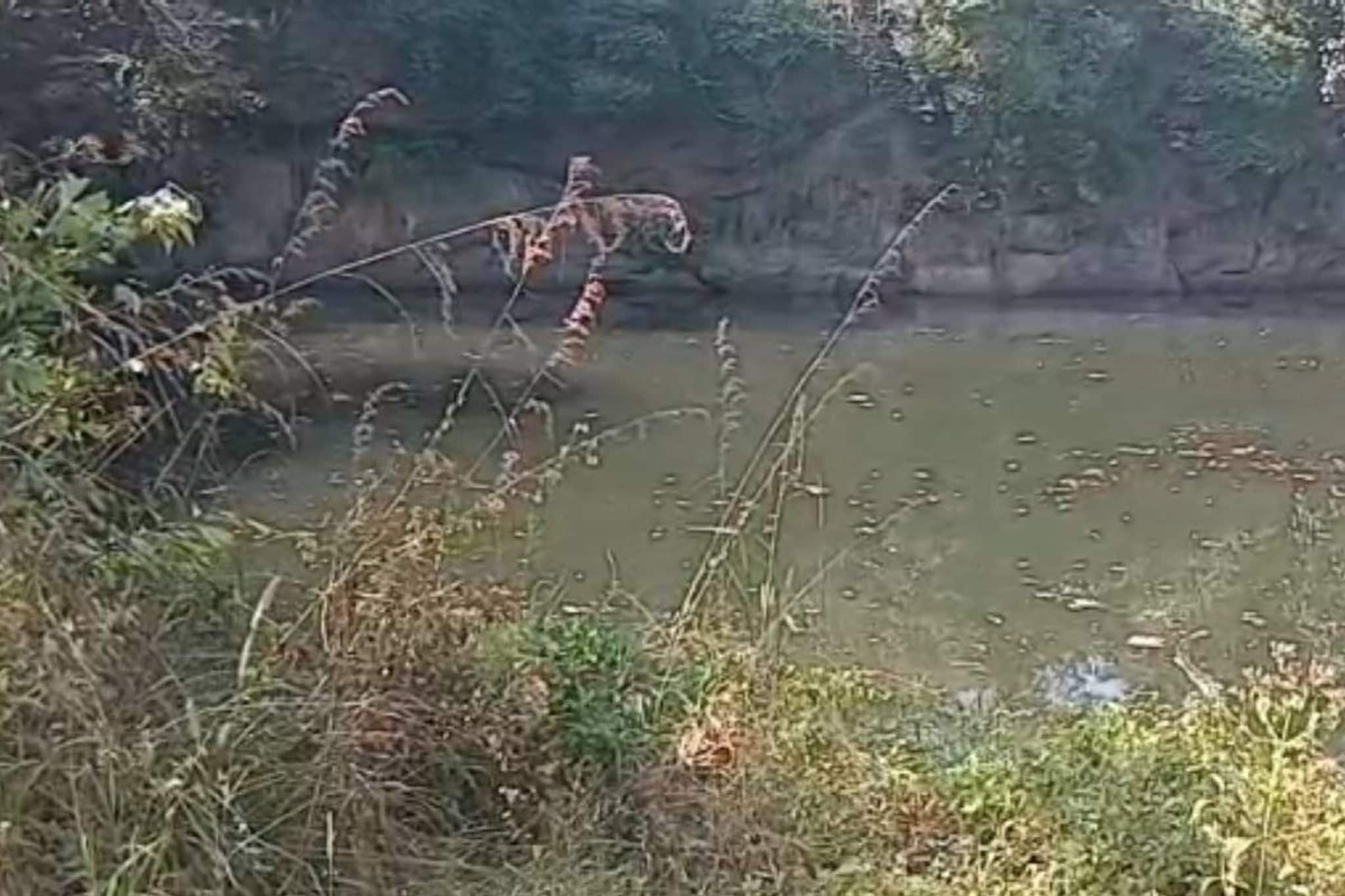 പ്ലസ് വൺ വിദ്യാർത്ഥിനിയെ പാറക്കുളത്തിൽ മരിച്ചനിലയിൽ കണ്ടേത്തിയ സംഭവം; കൊറിയൻ ആൺസുഹൃത്തിന്റെ മരണത്തിൽ മനംനൊന്തെന്ന് കത്ത്