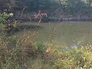 പ്ലസ് വൺ വിദ്യാർത്ഥിനിയെ മരിച്ച നിലയിൽ‌ കണ്ടെത്തിയ പാറക്കുളം