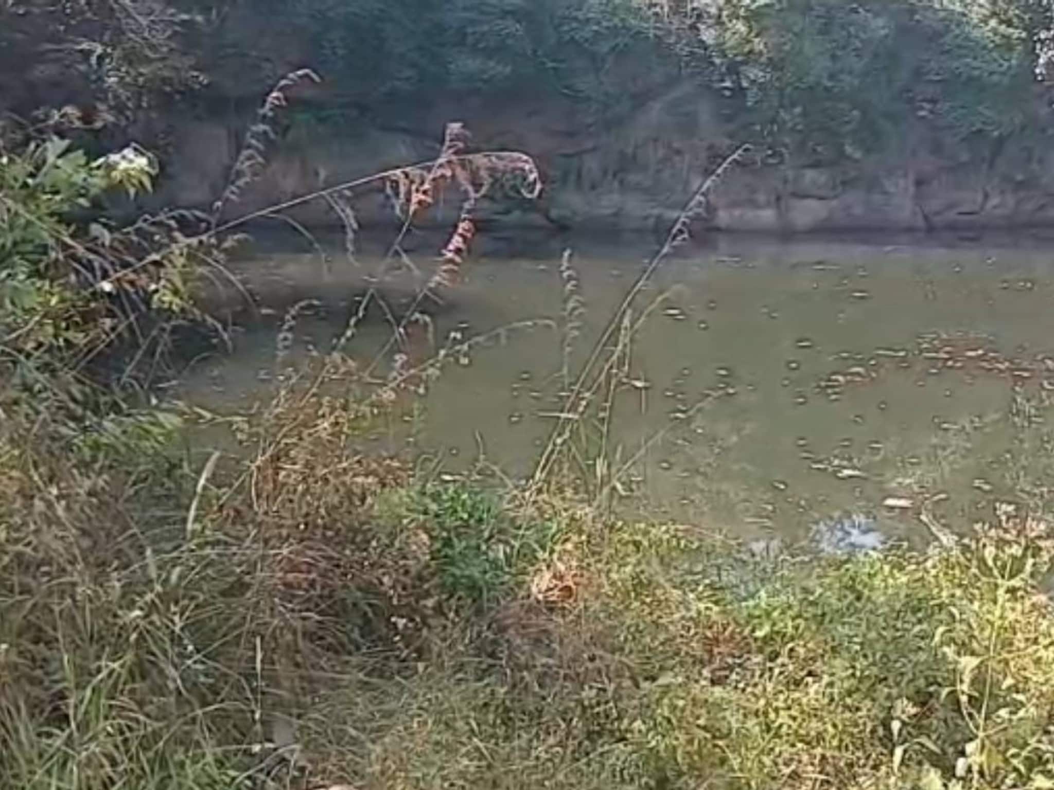 പ്ലസ് വൺ വിദ്യാർത്ഥിനി പാറക്കുളത്തിൽ മരിച്ചനിലയിൽ; കൊറിയൻ ആൺസുഹൃത്തിന്റെ മരണത്തിൽ മനംനൊന്തെന്ന് കത്ത് പ്ലസ് വൺ വിദ്യാർത്ഥിനി പാറക്കുളത്തിൽ മരിച്ചനിലയിൽ; കൊറിയൻ ആൺസുഹൃത്തിന്റെ മരണത്തിൽ മനംനൊന്തെന്ന് കത്ത്