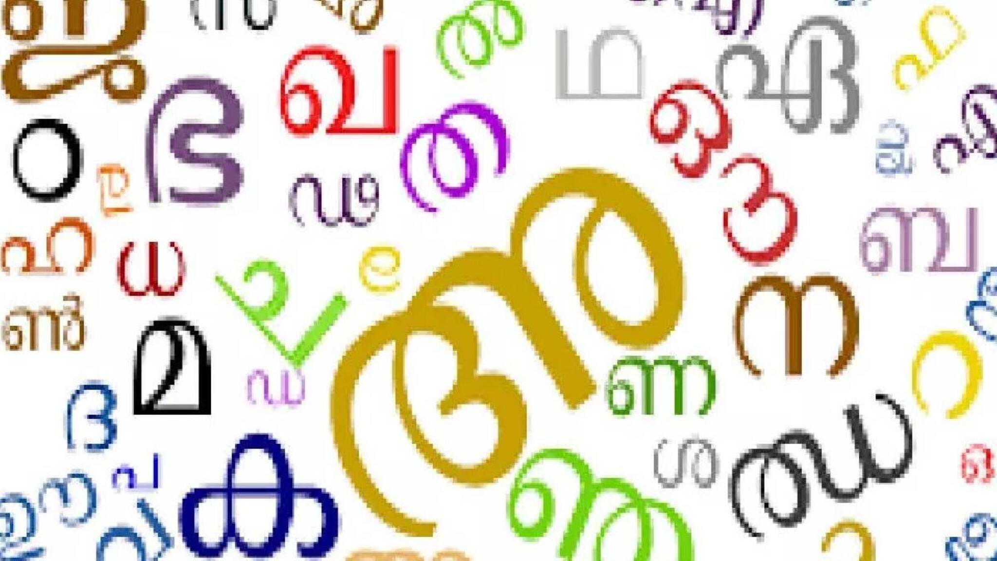 'കേരളത്തിന്റെ പുതിയ ഭാഷാ നിയമം ഭരണഘടനാ വിരുദ്ധം' കർണാടക