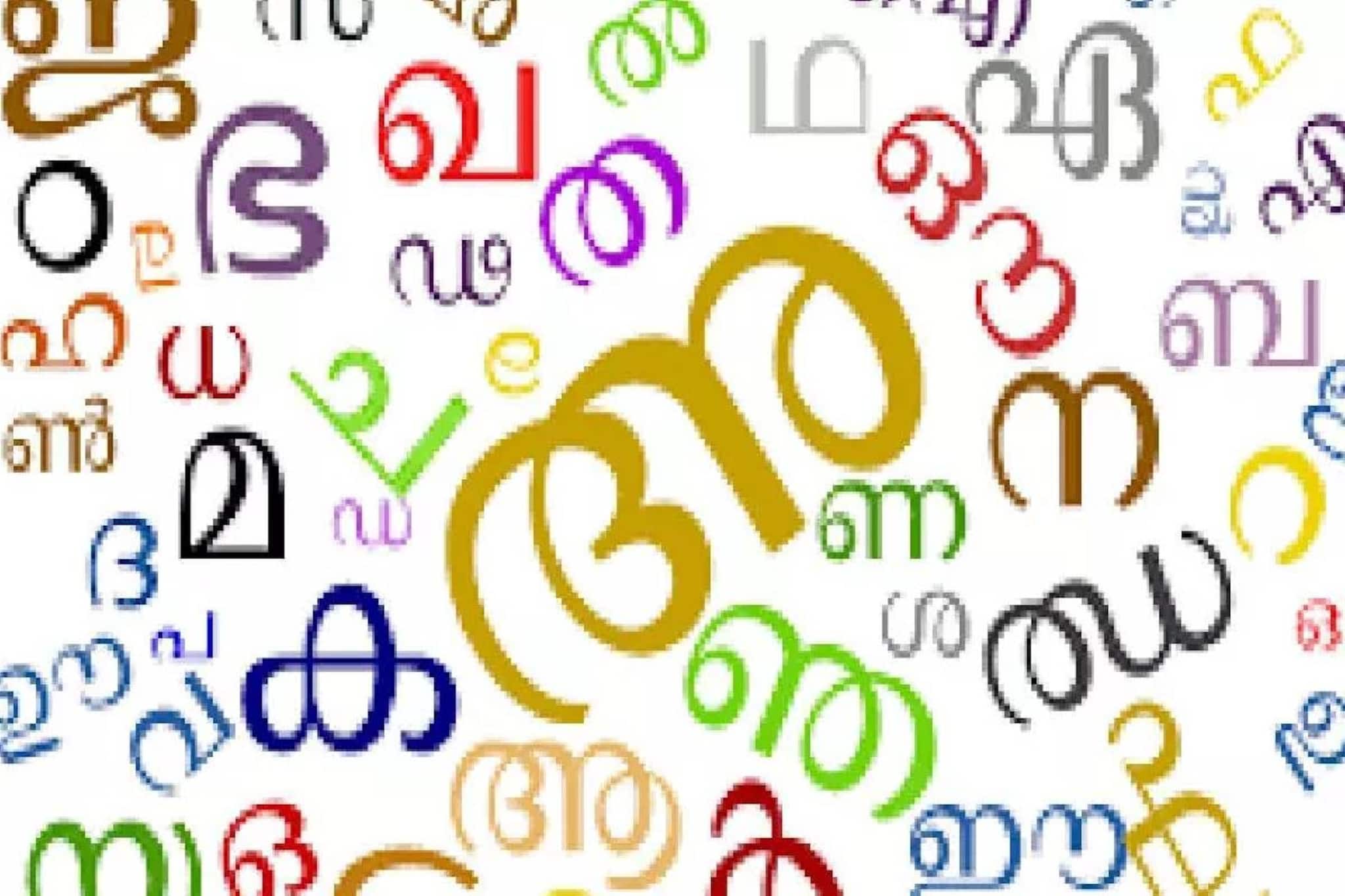 'കേരളത്തിന്റെ പുതിയ ഭാഷാ നിയമം ഭരണഘടനാ വിരുദ്ധം' കർണാടക; ബിൽ തള്ളണമെന്ന് ആവശ്യപ്പെട്ട് ഗവർണറെ കണ്ടു