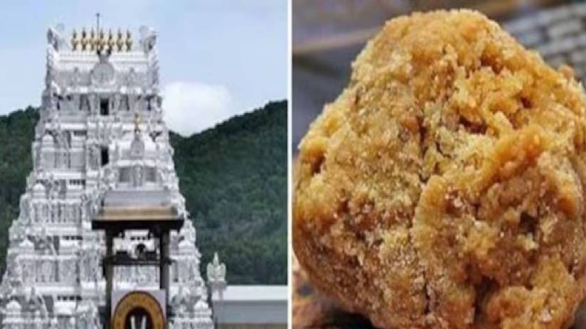 തിരുപ്പതി ലഡ്ഡുവില്‍ മൃഗക്കൊഴുപ്പില്ലെന്ന് സിബിഐ കുറ്റപത്രം; ഉപയോഗിച്ചത് കൃത്രിമ നെയ്യ്