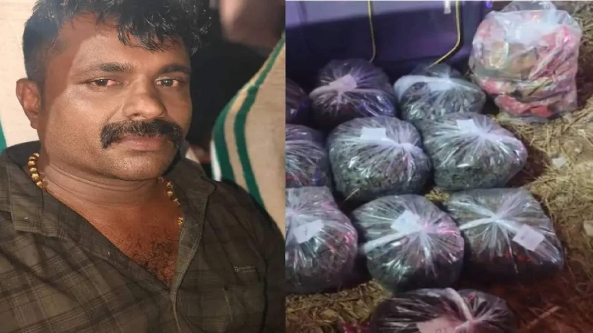 വിനോദയാത്രയുടെ മറവിൽ 21 കിലോ കഞ്ചാവ് കടത്തിയ 60-കാരിയും മകളും മരുമകനും പിടിയിൽ