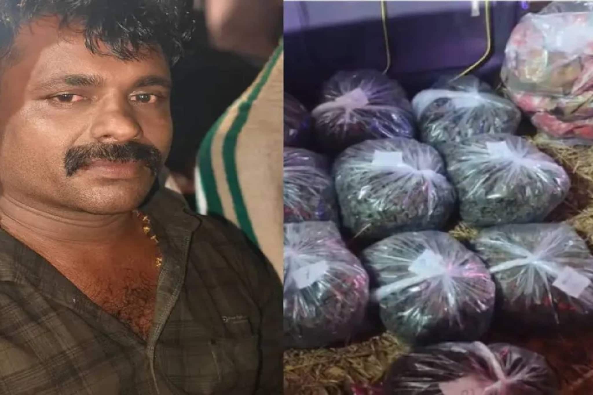 വിനോദയാത്രയുടെ മറവിൽ 21 കിലോ കഞ്ചാവ് കടത്തിയ 60-കാരിയും മകളും മരുമകനും പിടിയിൽ