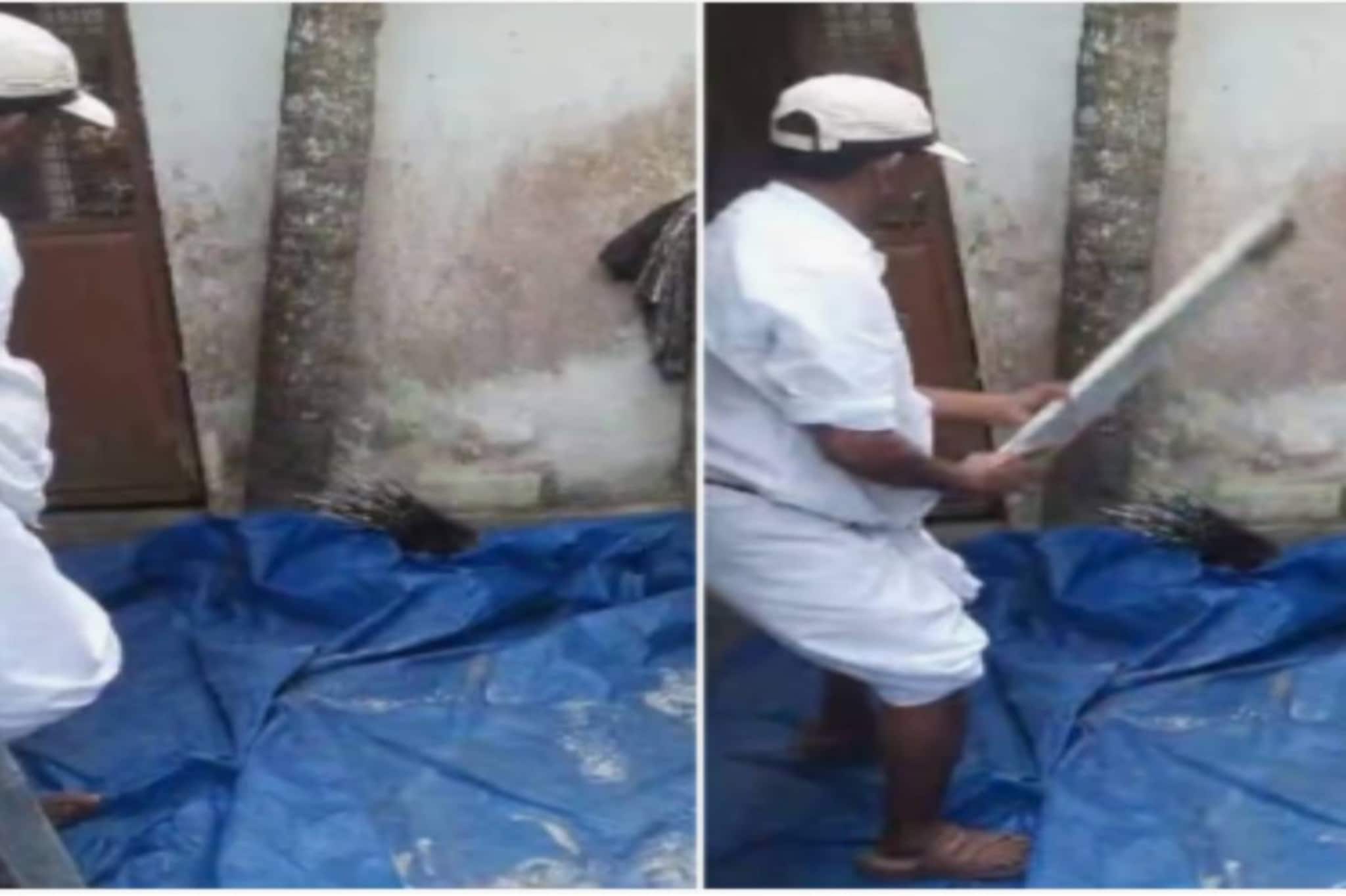 മുള്ളൻപന്നിയെ തല്ലിക്കൊന്ന പഞ്ചായത്ത് പ്രസിഡൻ്റ് വെള്ളനാട് ശശിക്കെതിരെ കേസെടുത്തു മുള്ളൻപന്നിയെ തല്ലിക്കൊന്ന പഞ്ചായത്ത് പ്രസിഡൻ്റ് വെള്ളനാട് ശശിക്കെതിരെ കേസെടുത്തു