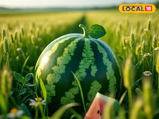 പ്രതീകാത്മക ചിത്രം