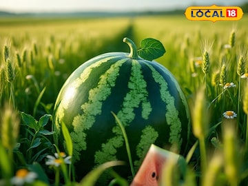 പ്രതീകാത്മക ചിത്രം