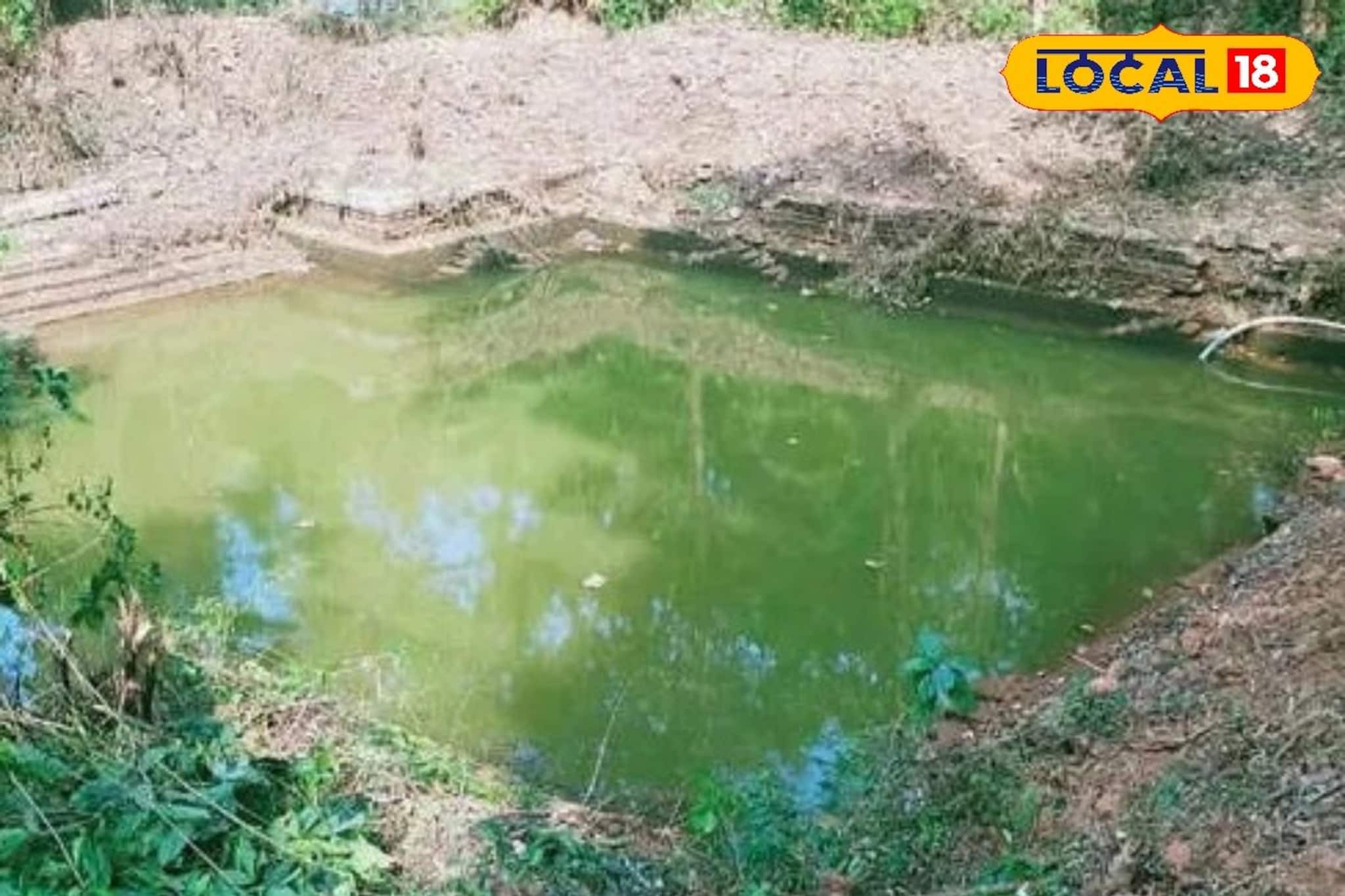 87 ലക്ഷത്തിൻ്റെ അമൃത് പദ്ധതി; കല്ലൂർ മഹാവിഷ്ണു ക്ഷേത്രക്കുളം ഉൾപ്പെടെ പത്തോളം കുളങ്ങൾ നവീകരിക്കും