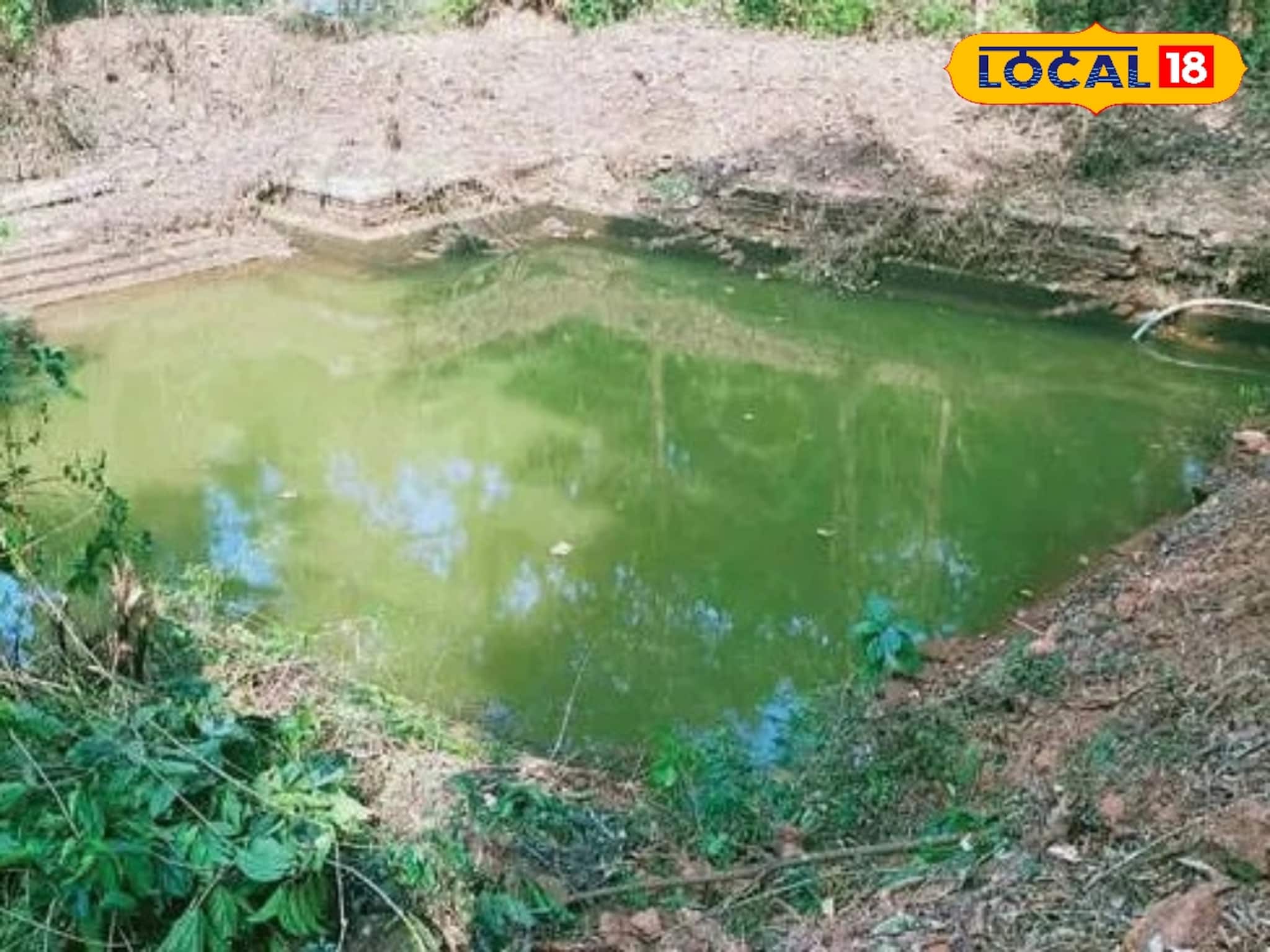 87 ലക്ഷത്തിൻ്റെ അമൃത് പദ്ധതി; കല്ലൂർ മഹാവിഷ്ണു ക്ഷേത്രക്കുളം ഉൾപ്പെടെ പത്തോളം കുളങ്ങൾ നവീകരിക്കും