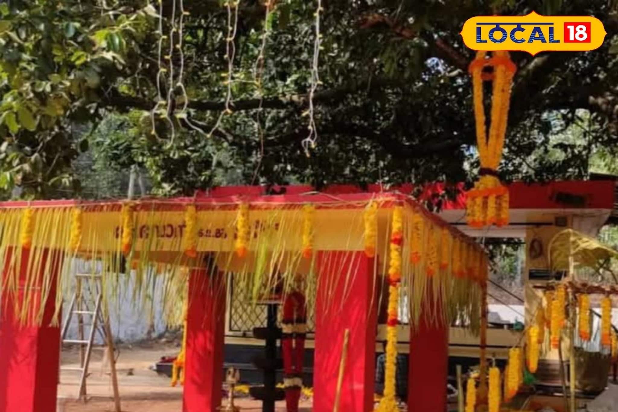 പ്രകൃതിയോട് ചേർന്നൊരു ആരാധനാരീതി; തോരിയോട്ട് മാടൻ നടയിലെ കുംഭമാസ കൊടുതി മഹോത്സവം