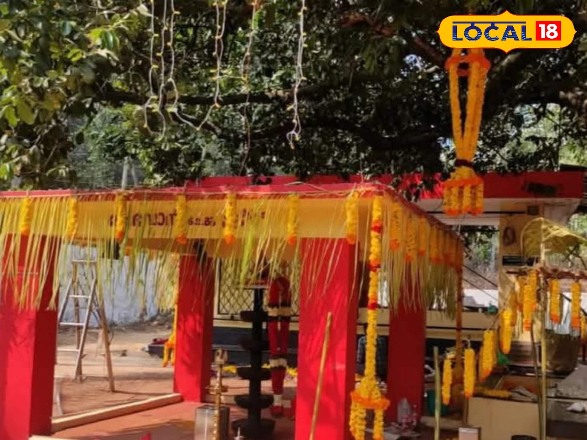 പ്രകൃതിയോട് ചേർന്നൊരു ആരാധനാരീതി; തോരിയോട്ട് മാടൻ നടയിലെ കുംഭമാസ കൊടുതി മഹോത്സവം പ്രകൃതിയോട് ചേർന്നൊരു ആരാധനാരീതി; തോരിയോട്ട് മാടൻ നടയിലെ കുംഭമാസ കൊടുതി മഹോത്സവം