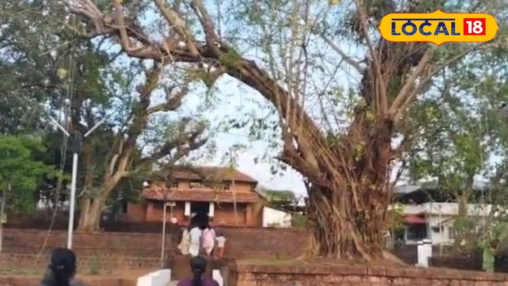 മാറാരോഗങ്ങൾ മാറ്റുന്ന വൈദ്യനാഥൻ; കാഞ്ഞിരങ്ങാട് ക്ഷേത്രത്തിൻ്റെ ഐതിഹ്യവും വിശേഷങ്ങളും