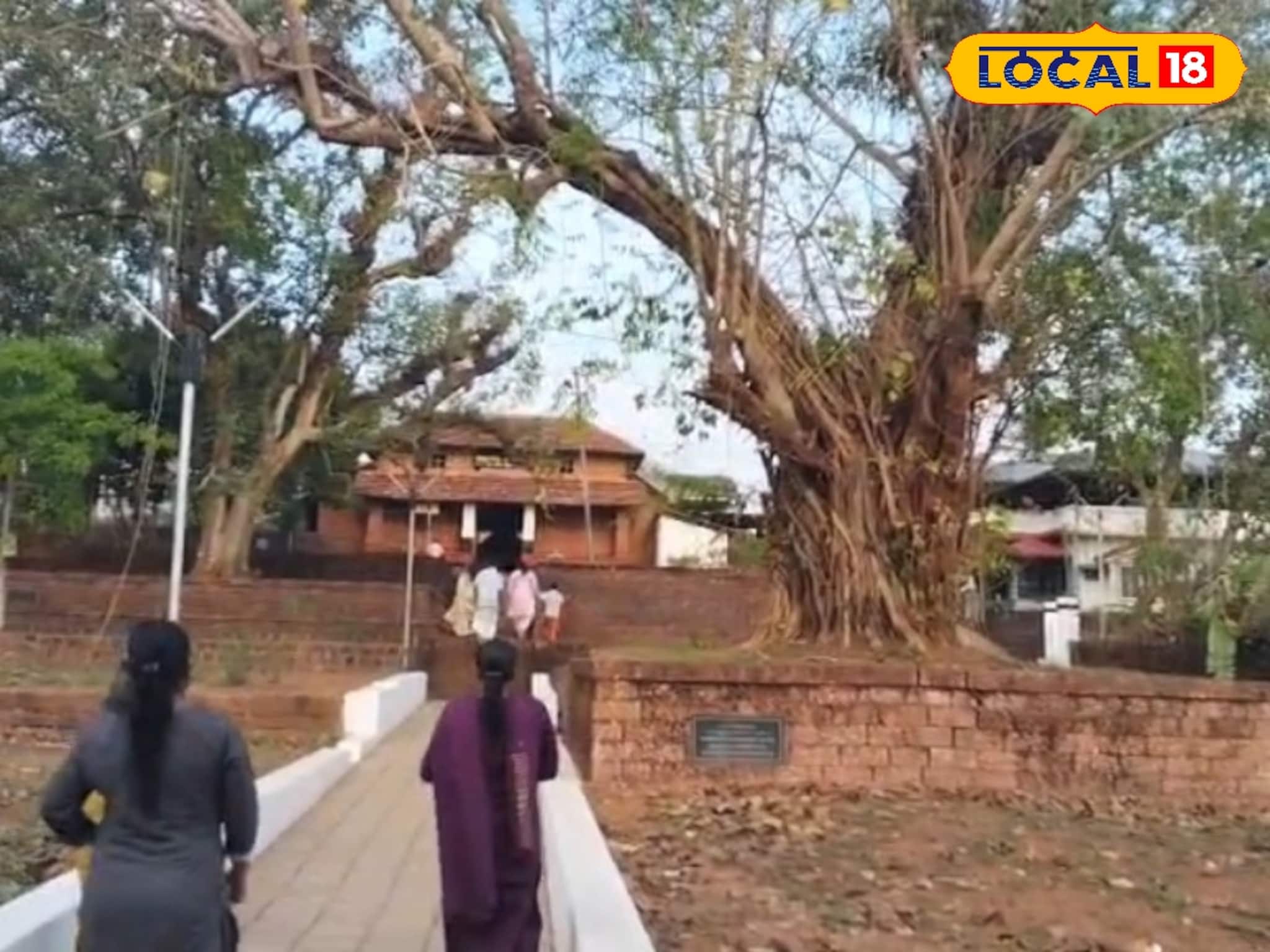 മാറാരോഗങ്ങൾ മാറ്റുന്ന വൈദ്യനാഥൻ; കാഞ്ഞിരങ്ങാട് ക്ഷേത്രത്തിൻ്റെ ഐതിഹ്യവും വിശേഷങ്ങളും