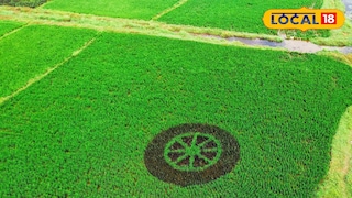 ഫാം ആർട്ട് ഫാം ആർട്ട്