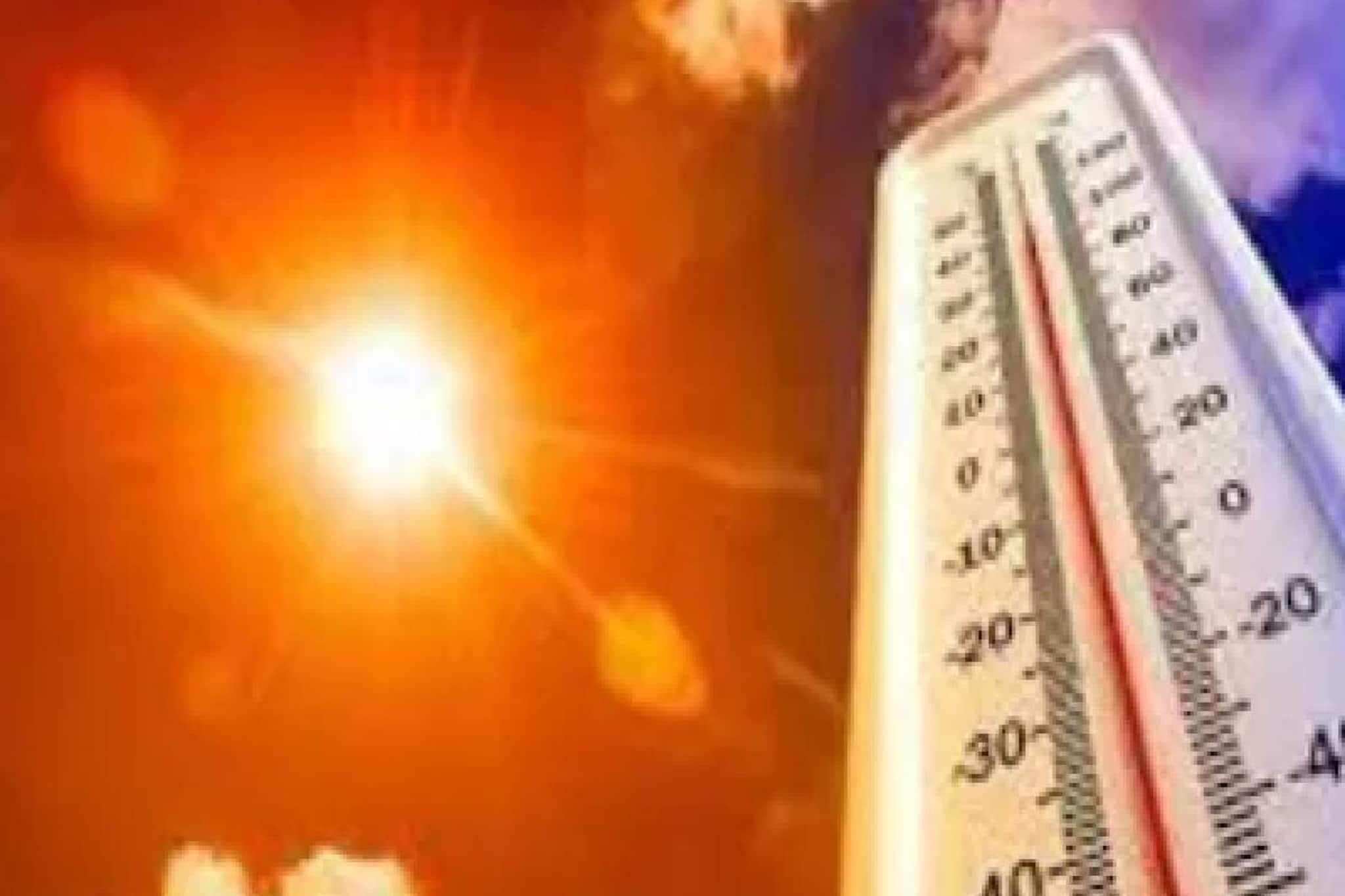 Kerala Weather: ചുട്ടുപൊള്ളി കേരളം; ഇടുക്കിയിൽ അൾട്രാവയലറ്റ് സൂചിക ഓറഞ്ച് അലർട്ട്; 4 ജില്ലകൾ യെല്ലോ അലർട്ട്