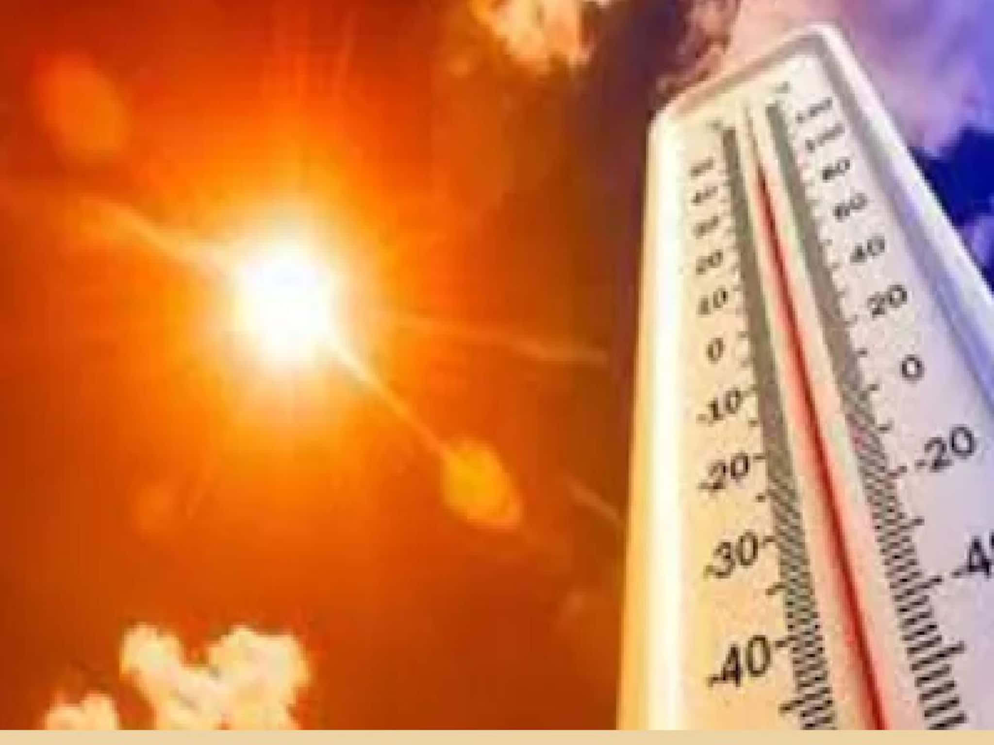 Kerala Weather: ചുട്ടുപൊള്ളി കേരളം; ഇടുക്കിയിൽ അൾട്രാവയലറ്റ് സൂചിക ഓറഞ്ച് അലർട്ട്; 4 ജില്ലകൾ യെല്ലോ അലർട്ട്